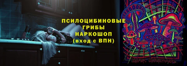 шишки Богородск