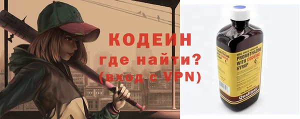 крисы Богородицк