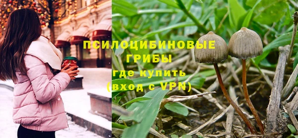 мет Богданович