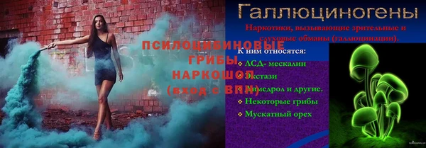 прущая мука Верея