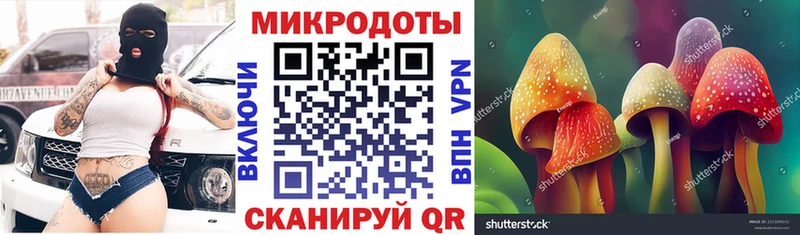 сколько стоит  Верхняя Пышма  Галлюциногенные грибы прущие грибы 